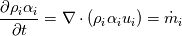 \frac{\partial \rho_i\alpha_i}{\partial t} = \nabla \cdot (\rho_i \alpha_i u_i) = \dot{m}_i