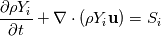 \frac{\partial \rho Y_i}{\partial t}+\nabla \cdot (\rho Y_i \bold{u}) = S_i